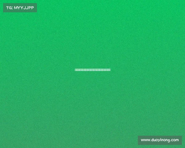 阿拉伯赛事聚焦中东顶级竞技与文化交融的激情盛会